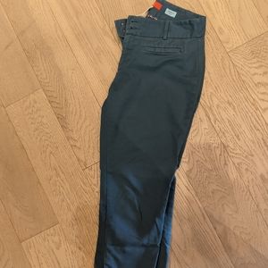 Anthropologie ankle zip pants